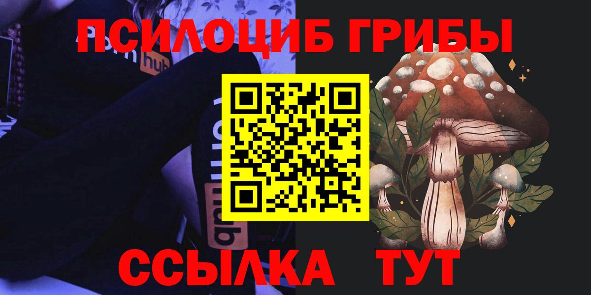 Псилоцибиновые грибы Cubensis Тольятти